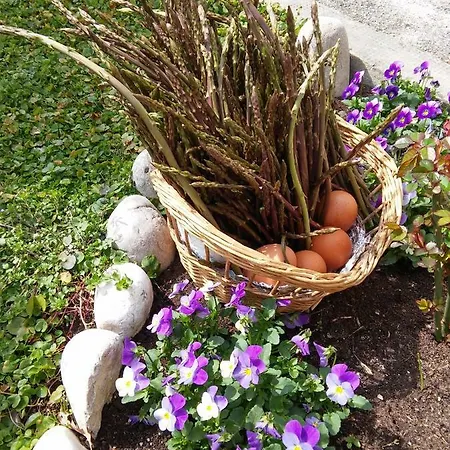 Apartman Nevia Apartment *